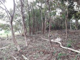  Grundstück zu verkaufen in Mueang Trat, Trat, Wang Krachae