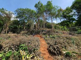  Land for sale in Karon Beach, Karon, Karon