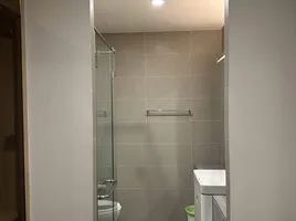 คอนโด 1 ห้องนอน ให้เช่า ในโครงการ โนเบิล เพลินจิต, ลุมพินี