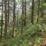  Land for sale in Baguio City, Benguet, Baguio City