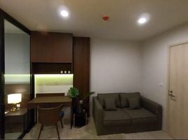 คอนโด 1 ห้องนอน ให้เช่า ในโครงการ ไลฟ์ อโศก, บางกะปิ