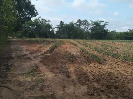  Land for sale in Nong Khai, Khok Chang, Sakhrai, Nong Khai