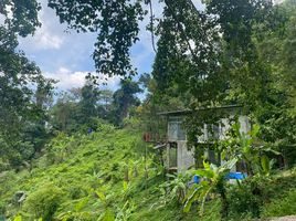  Land for sale in Thailand, Karon, Phuket Town, Phuket, Thailand