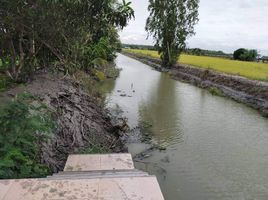 ขายที่ดิน ใน บางบัวทอง นนทบุรี, บางคูรัด, บางบัวทอง, นนทบุรี