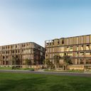 เดอะ ซีโร่ ในยาง