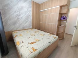 3 Bedroom House for rent at Indy Bangna Ramkhaemhaeng 2, Dokmai