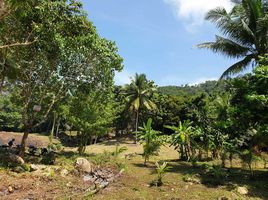  Land for sale in Koh Samui, Maenam, Koh Samui