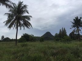  Grundstück zu verkaufen in Pran Buri, Prachuap Khiri Khan, Pran Buri, Pran Buri, Prachuap Khiri Khan