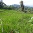  Land for sale in San Miguel De Los Bancos, Pichincha, San Miguel De Los Bancos, San Miguel De Los Bancos