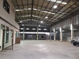  Warehouse for rent in Surat Thani, Bang Kung, Mueang Surat Thani, Surat Thani
