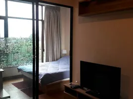 1 Bedroom Apartment for sale at Tree Boutique Resort, Chang Khlan