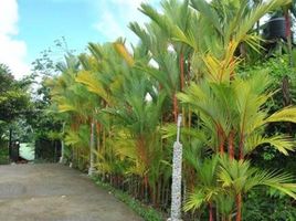 2 Schlafzimmer Haus zu verkaufen im Ojochal, Osa, Puntarenas