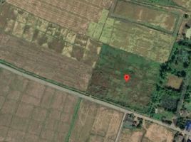  Land for sale in Chiang Mai, Chiang Dao, Chiang Dao, Chiang Mai