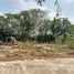  Land for sale in San Klang, San Pa Tong, San Klang