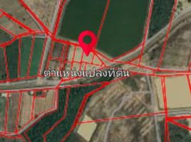  Land for sale in Chai Nat, Wang Takhian, Nong Mamong, Chai Nat