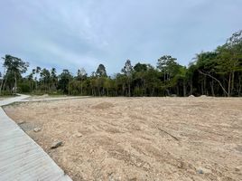  Land for sale in Santiburi Samui Country Club, Maenam, Maenam