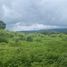  Land for sale in Makro Hangdong, Mae Hia, Mae Hia