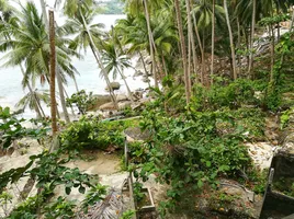  Grundstück zu verkaufen in Kathu, Phuket, Patong, Kathu, Phuket