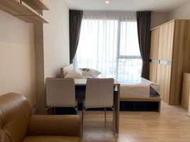 Studio Condo for rent at Ideo Mobi Sukhumvit East Point, Bang Na