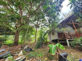  Grundstück zu verkaufen in Koh Samui, Surat Thani, Maenam, Koh Samui