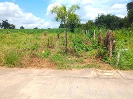  Grundstück zu verkaufen in Sikhio, Nakhon Ratchasima, Mittraphap