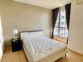 1 Bedroom Condo for sale at Rhythm Sukhumvit 50, Phra Khanong, Khlong Toei