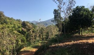 N/A Land for sale in Lae, Nan 