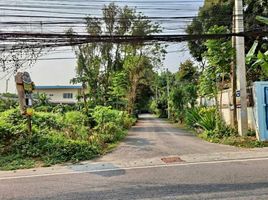  Land for sale in Ched Yod Temple, Chang Phueak, Chang Phueak
