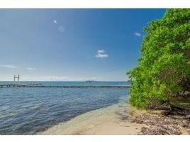  Land for sale in Guanaja, Bay Islands, Guanaja