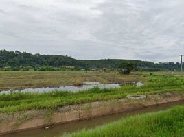  Land for sale in Chiang Dao, Chiang Dao, Chiang Dao