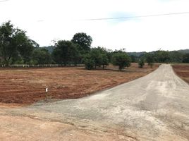  Land for sale in Muak Lek, Saraburi, Mittraphap, Muak Lek
