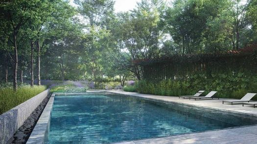图片 1 of the 游泳池 at Mulberry Grove The Forestias Condominiums