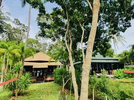 3 Schlafzimmer Villa zu verkaufen in Mueang Krabi, Krabi, Khao Thong, Mueang Krabi, Krabi, Thailand