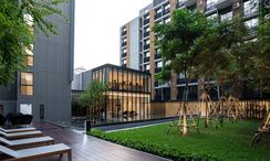 Photos 3 of the Communal Garden Area at Noble Ambience Sukhumvit 42