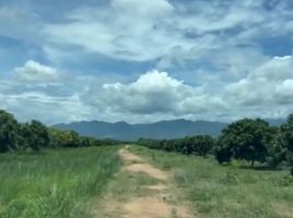  Land for sale in Chom Thong, Chiang Mai, Ban Pae, Chom Thong