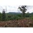  Land for sale in Osa, Puntarenas, Osa