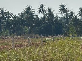  Land for sale in Pran Buri, Prachuap Khiri Khan, Pran Buri, Pran Buri