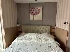 บ้านเดี่ยว 2 ห้องนอน ให้เช่า ในโครงการ ดิ เออบาน่า 2, แม่เหียะ, เมืองเชียงใหม่, เชียงใหม่