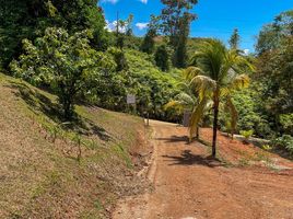 2 Schlafzimmer Villa zu verkaufen in Osa, Puntarenas, Osa, Puntarenas