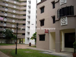 4 Bedroom Apartment for rent at CHOA CHU KANG CRESCENT , Yew tee, Choa chu kang, West region, Singapore