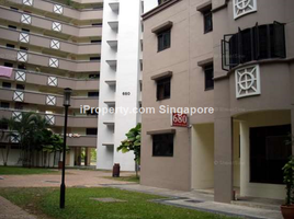 4 Bedroom Apartment for rent at CHOA CHU KANG CRESCENT , Yew tee, Choa chu kang, West region