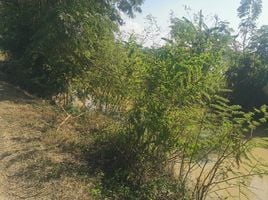  Land for sale in Chiang Rai, Than Tawan, Phan, Chiang Rai