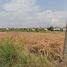  Land for sale in Lat Krabang, Bangkok, Lat Krabang, Lat Krabang