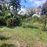  Land for sale in Pococi, Limon, Pococi