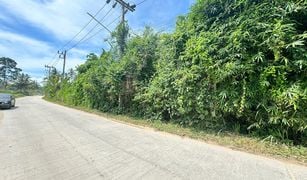 ขายที่ดิน N/A ใน แม่น้ำ, สุราษฎร์ธานี 