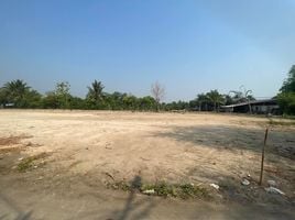  Grundstück zu verkaufen in San Sai, Chiang Mai, Nong Chom, San Sai