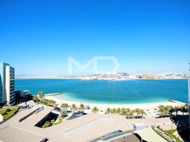 3 Bedroom Apartment for sale at Al Maha, Al Muneera