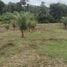  Grundstück zu verkaufen in Presidente Figueiredo, Amazonas, Balbina, Presidente Figueiredo, Amazonas