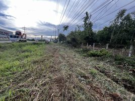  Grundstück zu verkaufen in Nam Phong, Khon Kaen, Kut Nam Sai, Nam Phong