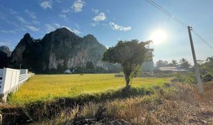 N/A Land for sale in Ban Mung, Phitsanulok 